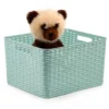 Plasticforte Opbergmand - Kastmand - kunststof - mintgroen - 28L