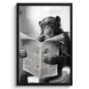 Poster met lijst 40x60 cm Aap - WC - Krant - Zwart wit - Humor