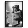 Poster met lijst 80x120 cm Aap - WC - Krant - Zwart wit - Humor