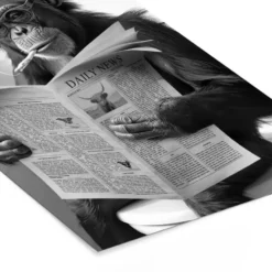 Poster met lijst 80x120 cm Aap - WC - Krant - Zwart wit - Humor