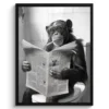 Poster met lijst 60x80 cm Aap - WC - Krant - Zwart wit - Humor