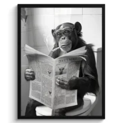 Poster met lijst 60x80 cm Aap - WC - Krant - Zwart wit - Humor
