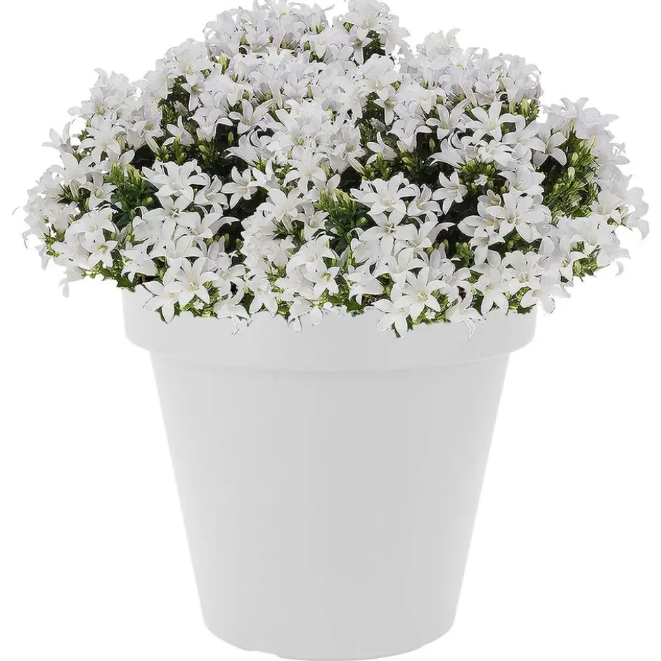 Prosperplast Bloempot - D25 x H23 cm - wit - kunststof