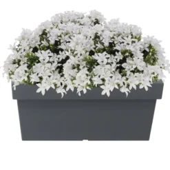Prosperplast Plantenbak - kunststof - 79 x 35 x 33 cm - grijs