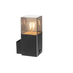 Qazqa wandlamp met daglichtsensor denmark zwart e27