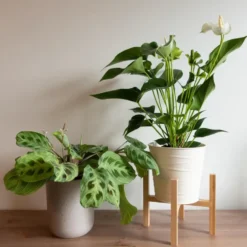 QUVIO Bloempotstandaard 4-poot hout - Lichtbruin - L