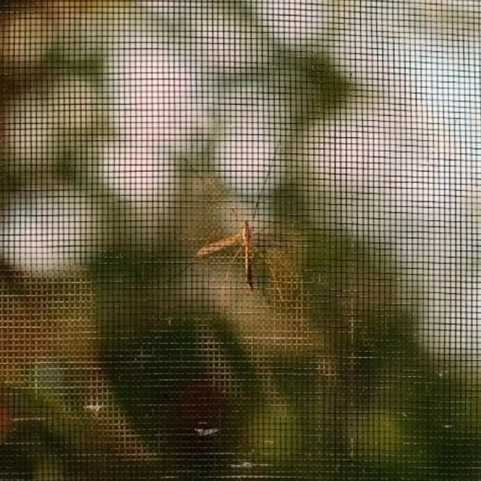 Raamhor 130x150 anti-insect
