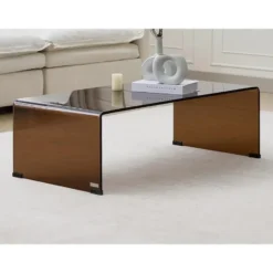 Salontafel ALONZO - 110 cmx55 cmx35 cm - Transparant Bruin Glas