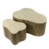 Salontafel Organisch Beige/Hout - Set Van 2 - Nuovo