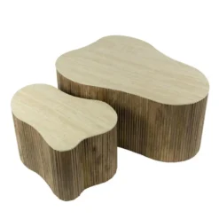 Salontafel Organisch Beige/Hout - Set Van 2 - Nuovo