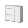 Schoenenkast ARIETTA - 102 cmx33 cmx95 cm - Grijs Wit Hout paneel