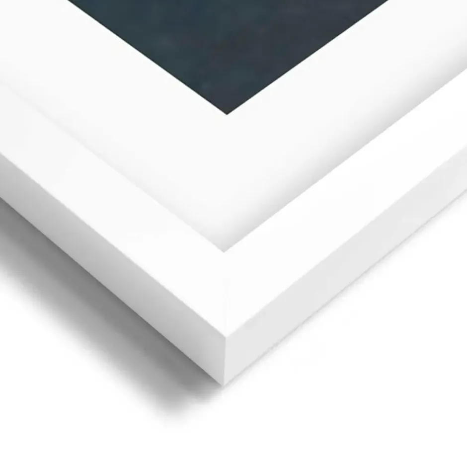 Set poster met lijst - Bloemenvreugde