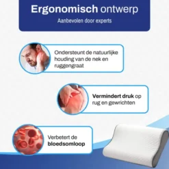 Sleeptight Hoofdkussen voor Nekklachten - Contour - Traagschuim - 60 x 40 cm