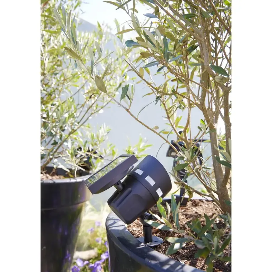 Solar hybride intelligente spotlamp Montana 50LM