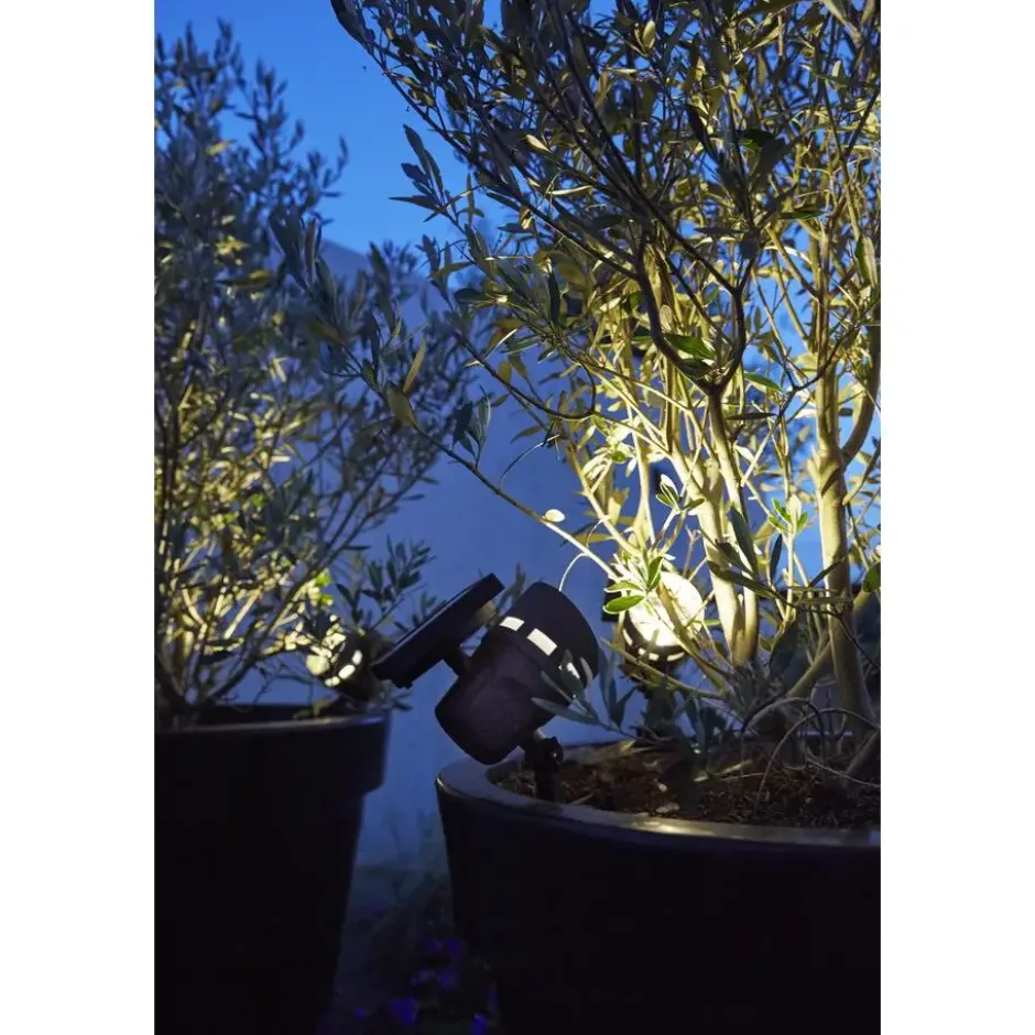 Solar hybride intelligente spotlamp Montana 50LM