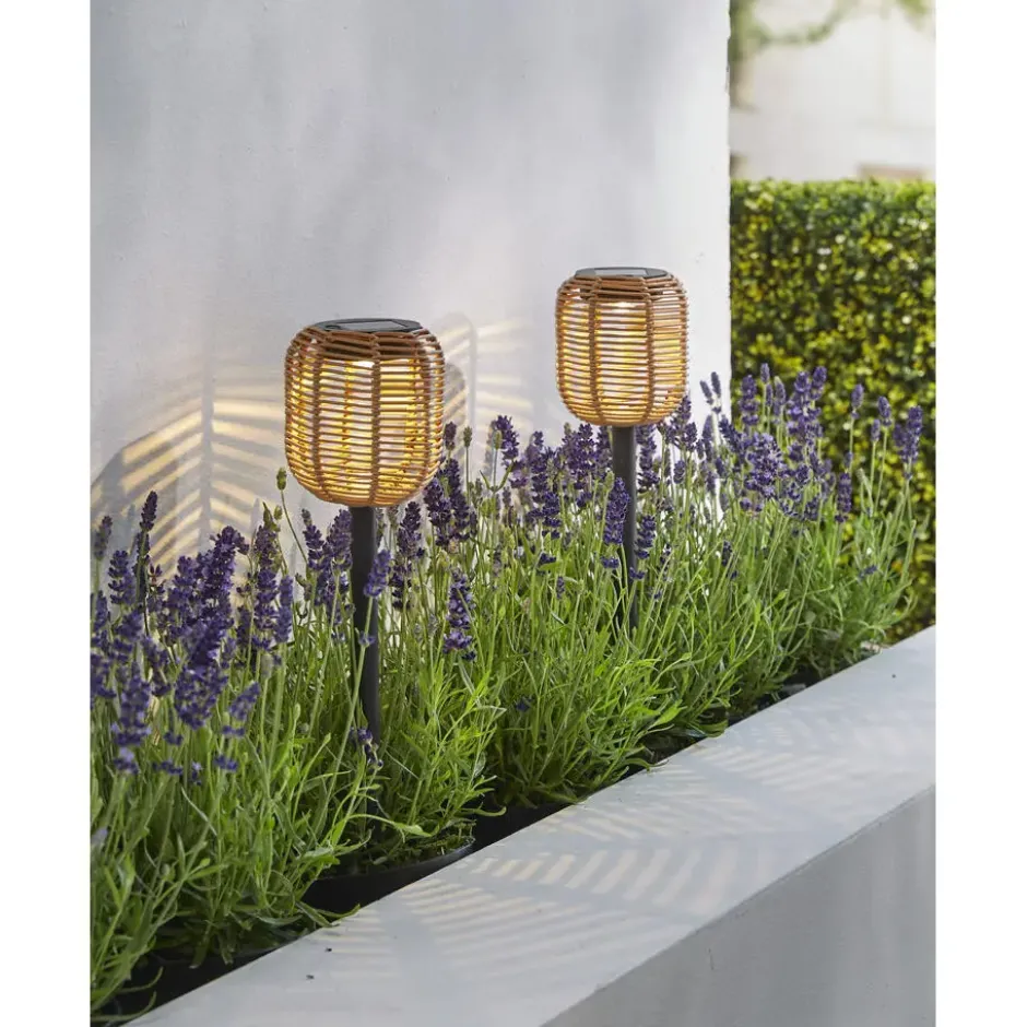 Solar priklamp rattan set van 2 5LM patio