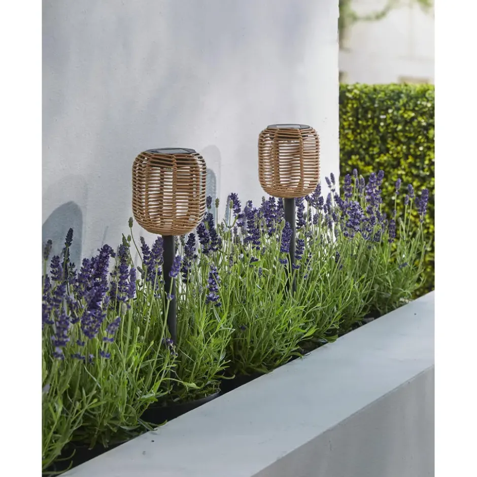 Solar priklamp rattan set van 2 5LM patio