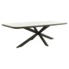 Soreno deens ovale tuintafel 240x110 cm. - Terre