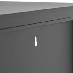 tectake metalen vitrinekast, Zwart