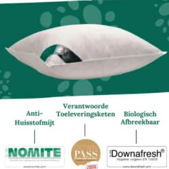 Ten Cate 100% Eendenveren Hoofdkussen - 60x70