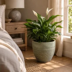 Ter Steege Plantenpot/bloempot Lava Stone - groen - D36 x H32 cm