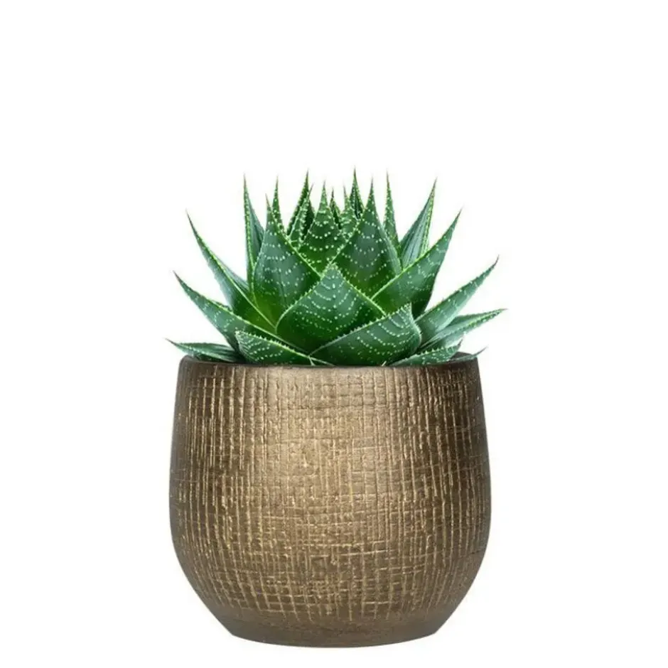 Ter Steege Plantenpot - modern design - goud - 20 x 22 cm