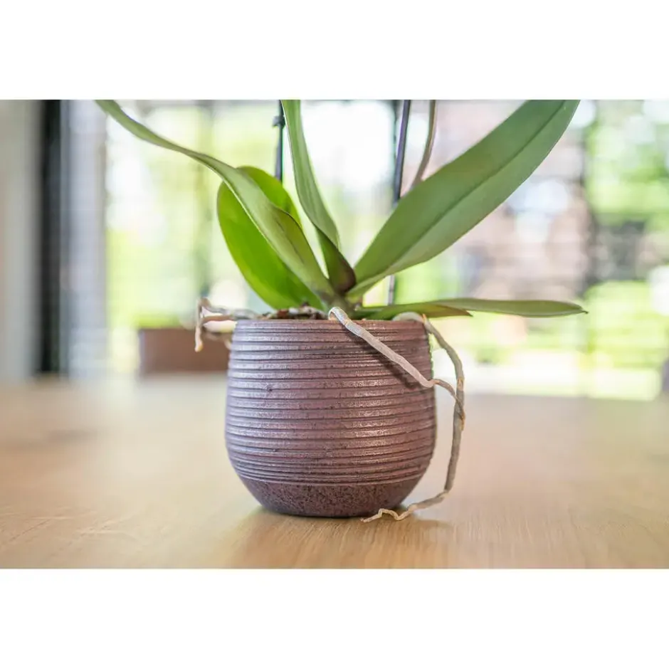 TS Collection plantenpot - Lydia - paars - 20 x 22 cm - keramiek