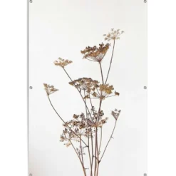 Tuinposter Berenklauw - 120 x 80 - Beige