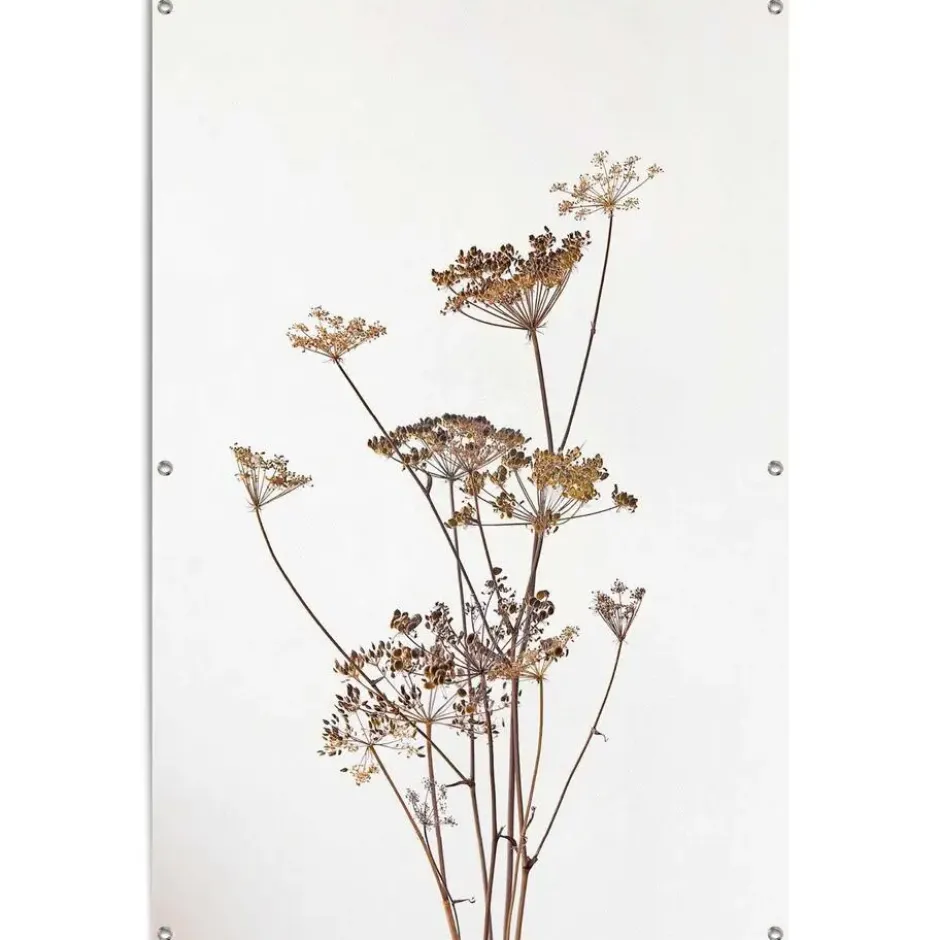 Tuinposter Berenklauw - 120 x 80 - Beige
