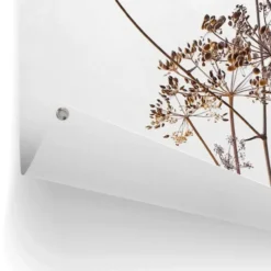 Tuinposter Berenklauw - 120 x 80 - Beige