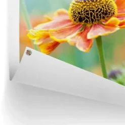 Tuinposter Bloem - 80 x 60 - Oranje