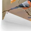 Tuinposter Goudvink - 60 x 80 - Oranje