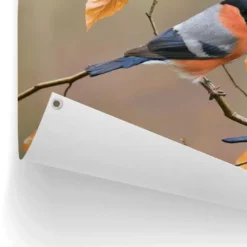 Tuinposter Goudvink - 60 x 80 - Oranje