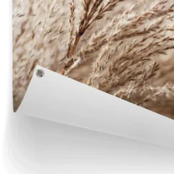 Tuinposter Helmgras - 120 x 80 - Beige