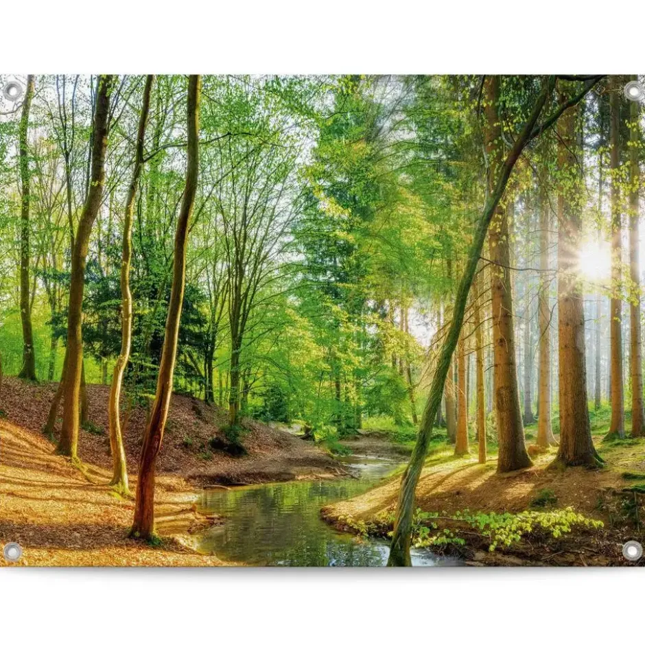 Tuinposter Lentebos - 60 x 80 - Groen