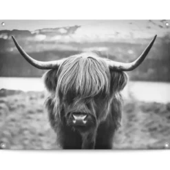 Tuinposter Schotse Hooglander - 60 x 80 - Zwart-Wit