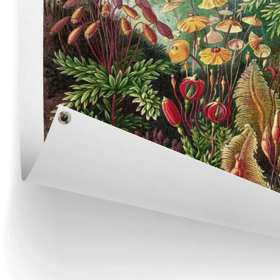 Tuinposter Sea Flora - 80 x 60 - Groen