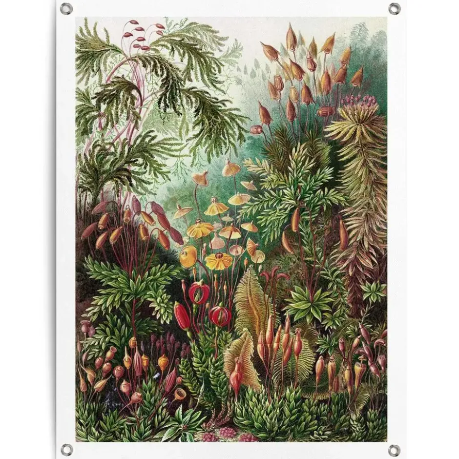 Tuinposter Sea Flora - 80 x 60 - Groen