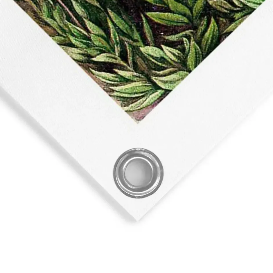 Tuinposter Sea Flora - 80 x 60 - Groen
