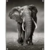 Tuinposter Wandelende olifant - 80 x 60 - Zwart
