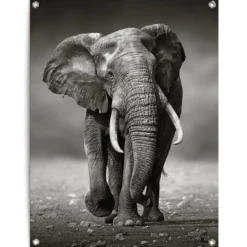Tuinposter Wandelende olifant - 80 x 60 - Zwart