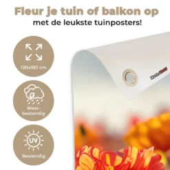 Tuinposter 120x180 cm Bloemen - Klaprozen - Kleurrijk - Natuur