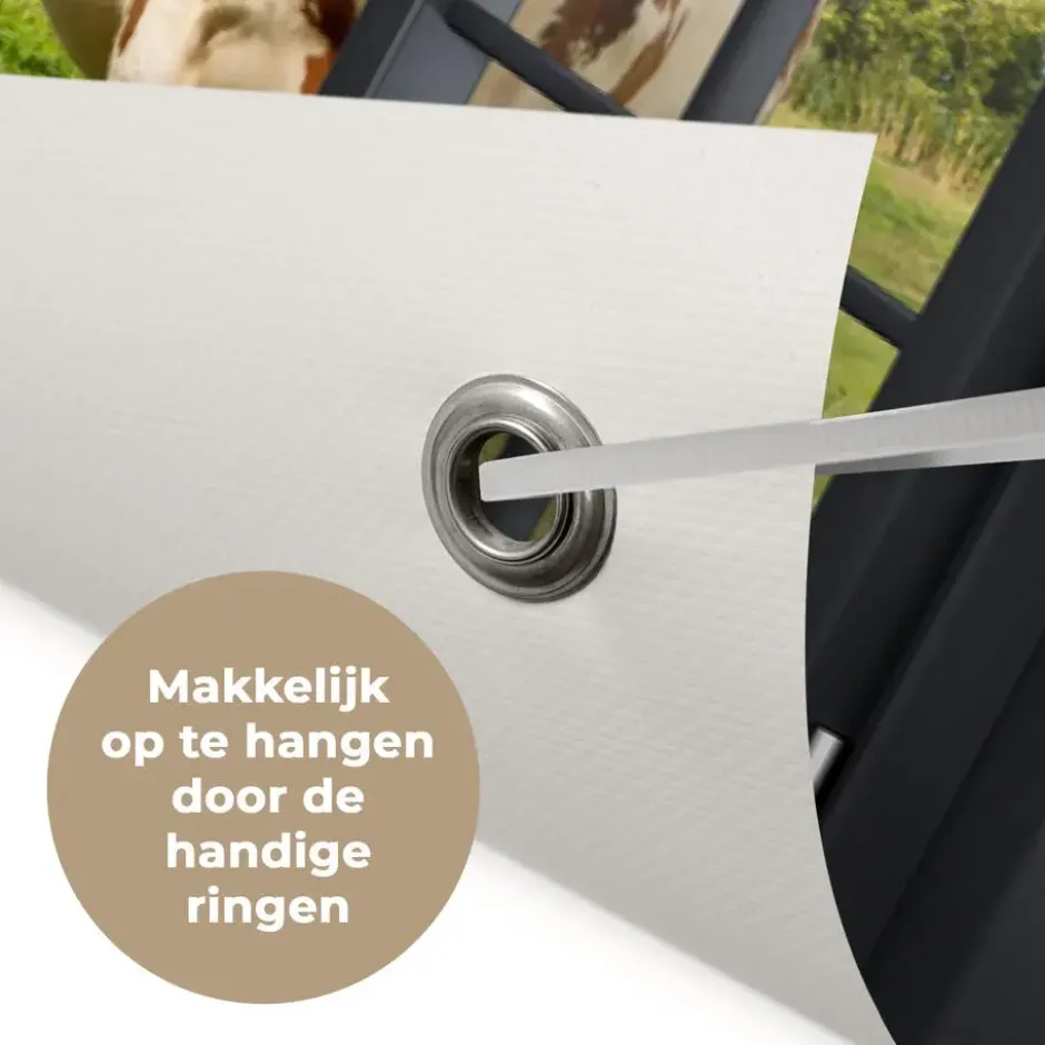 Tuinposter 90x60 cm Doorkijk - Koe - Molen - Koeien - Weiland - Gras - Groen