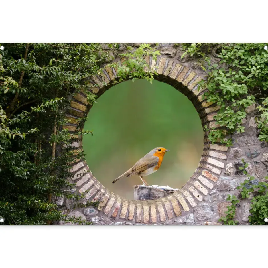 Tuinposter 120x80 cm Vogel - Doorkijk - Roodborstje