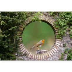 Tuinposter 180x120 cm Vogel - Doorkijk - Roodborstje