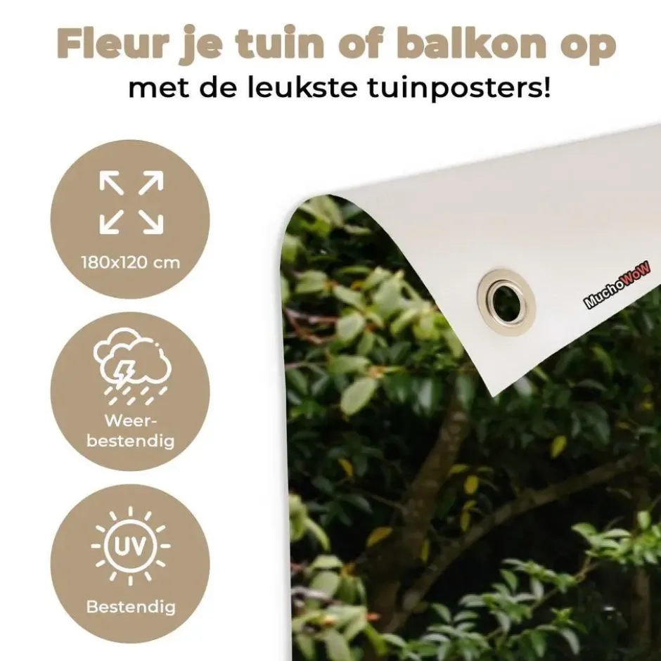Tuinposter 180x120 cm Vogel - Doorkijk - Roodborstje