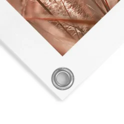 Tuinposter Zomer - 80 x 60 - Beige