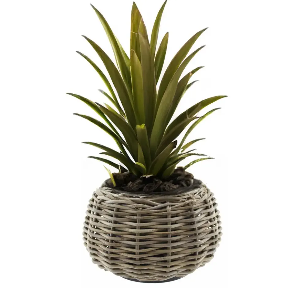 Van Der Leeden Planten/bloemen mand - rotan -D30 x H19 cm