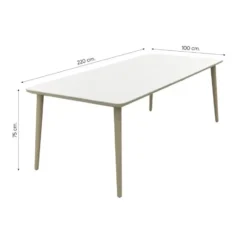 VDG Romeo/Sofia rope dining tuinset voor 6 personen 220x100 cm. - Latte