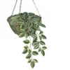 Vd Leeden Hangmand Wilg – D30 x H15 cm - gevlochten - hangend
